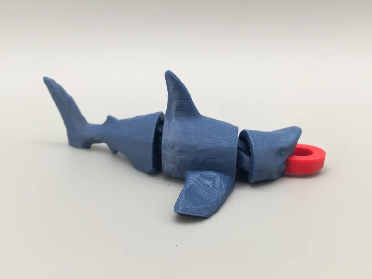 Flexi Shark — modelo 3D