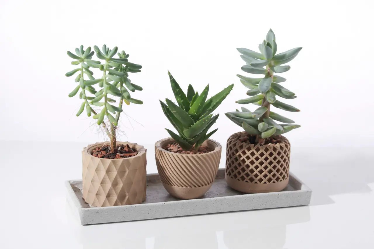 Modern geometric Succulent plant pot — modelo 3D