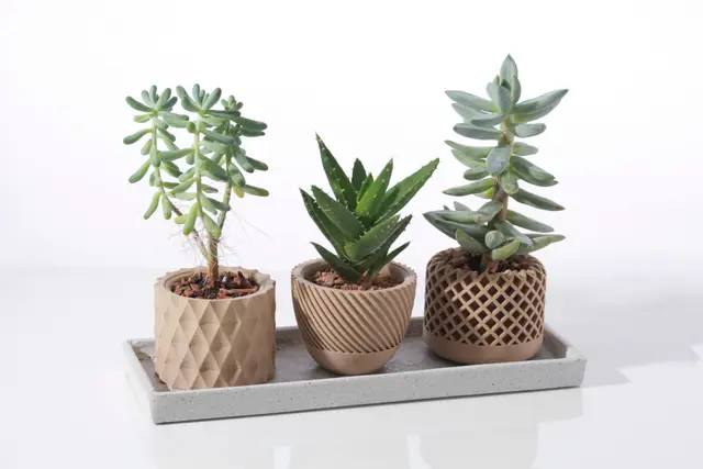 Modern geometric Succulent plant pot — modelo 3D