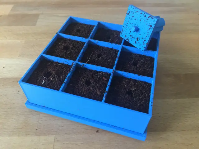 Seed germination tray with removable base and stamp — modelo 3D