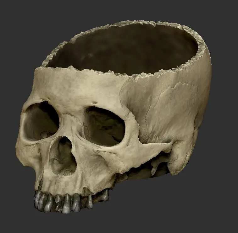 Halloween Skull Bowl — modelo 3D