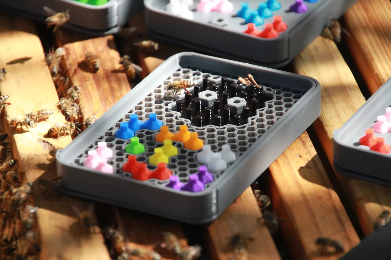 Honeycomb Buzzle — modelo 3D