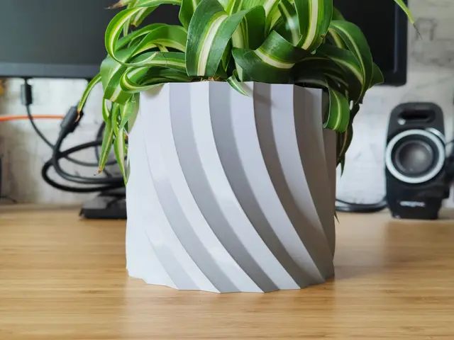 Spinning Spiral Pot and Planter - Easy Vase mode — modelo 3D