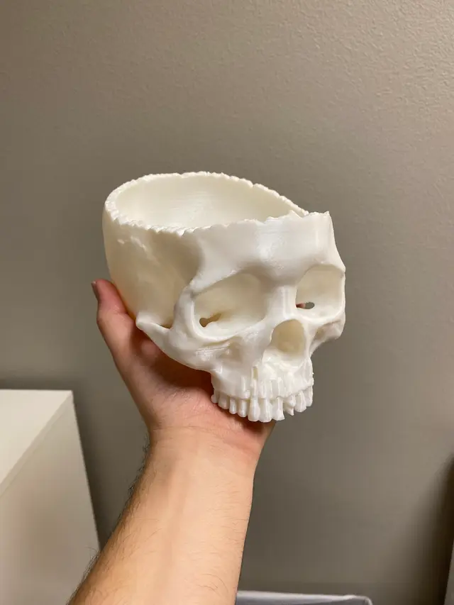 Realistic Skull Candy Bowl | Halloween Skull Decoration — modelo 3D