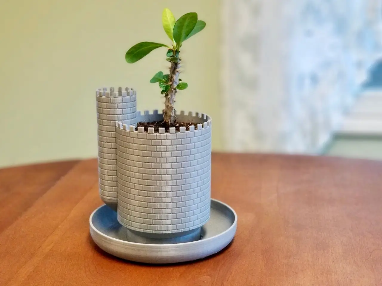 Planttlement - Castle Planter with Moat, for Succulents — modelo 3D
