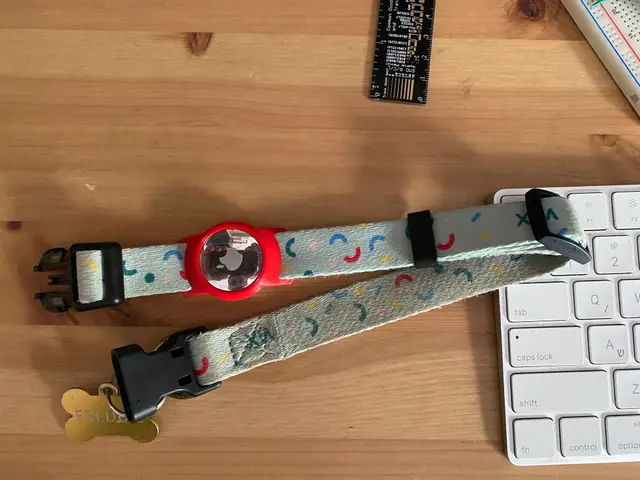 AirTag Holder for Collar — modelo 3D