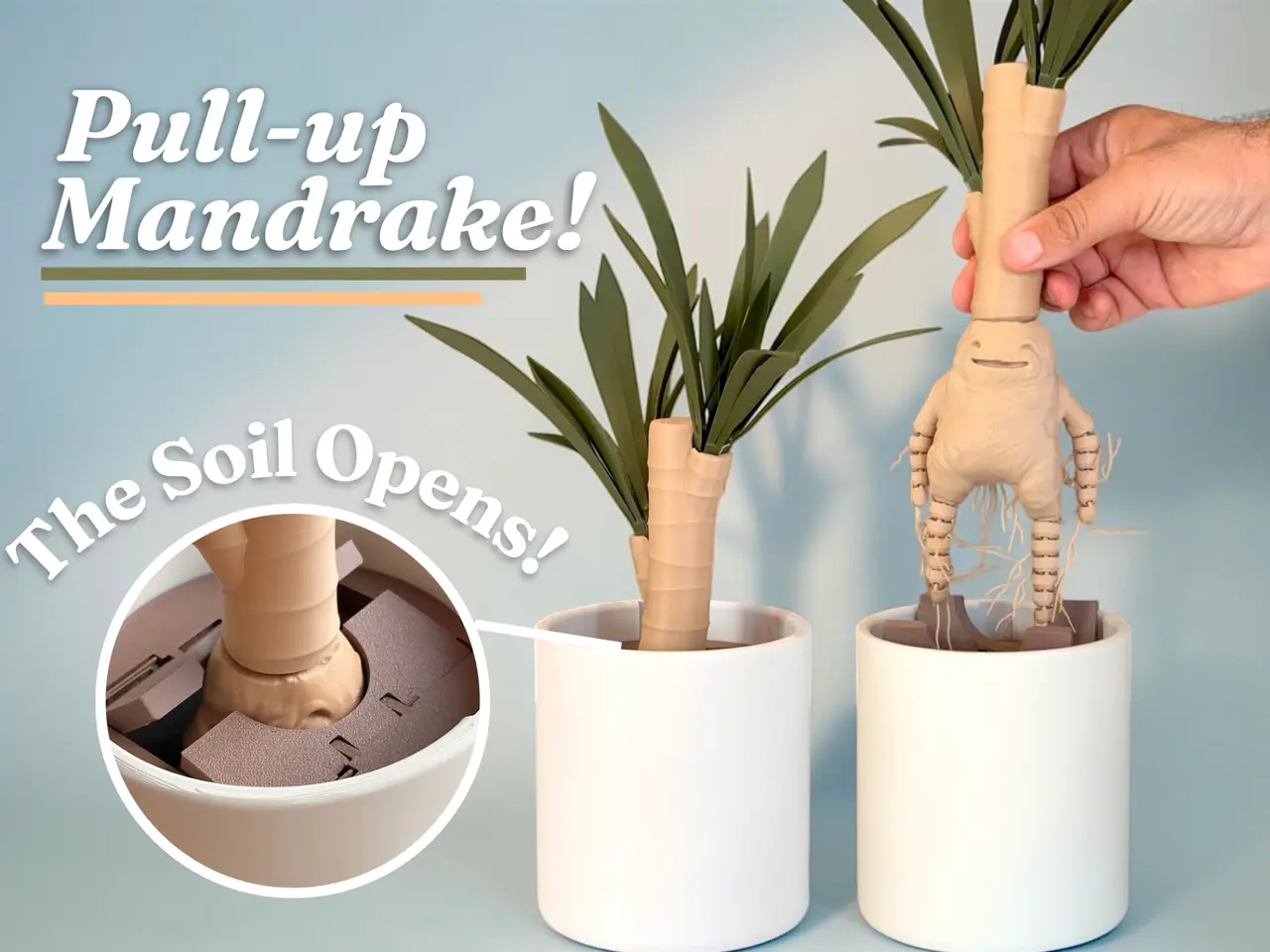 Mandrake – Plant with a Hidden Creature — modelo 3D