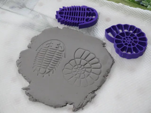 Fossil stamps — modelo 3D