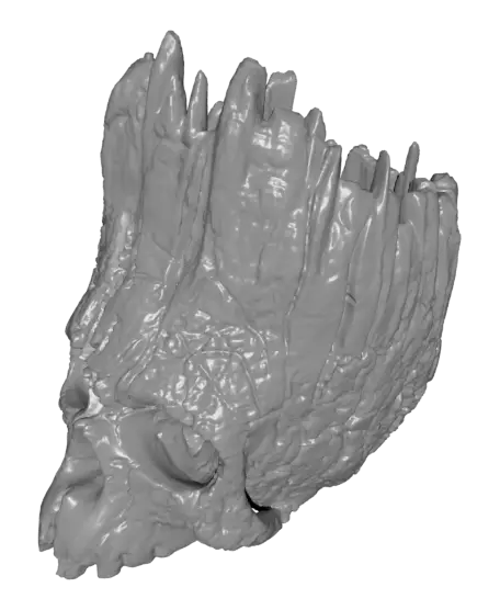 The skull of life — modelo 3D