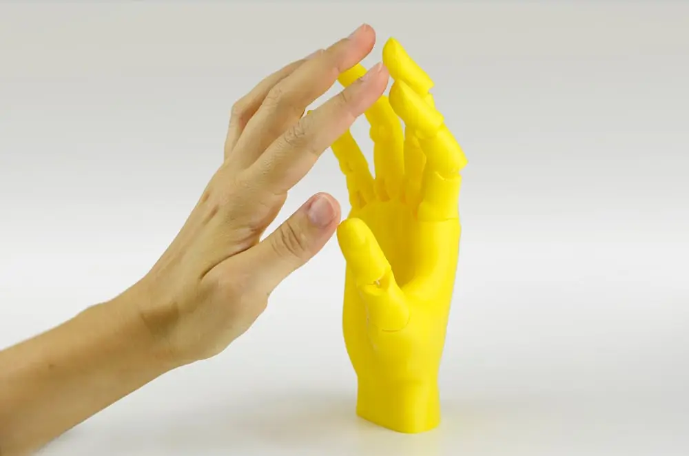 Jointed Hand — modelo 3D