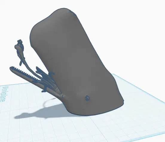 whale fall 3 piece model — modelo 3D