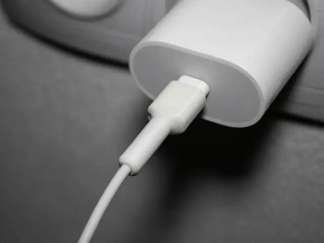 USB-C Cable Protector — modelo 3D