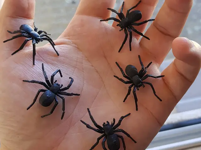 Black House Spider — modelo 3D