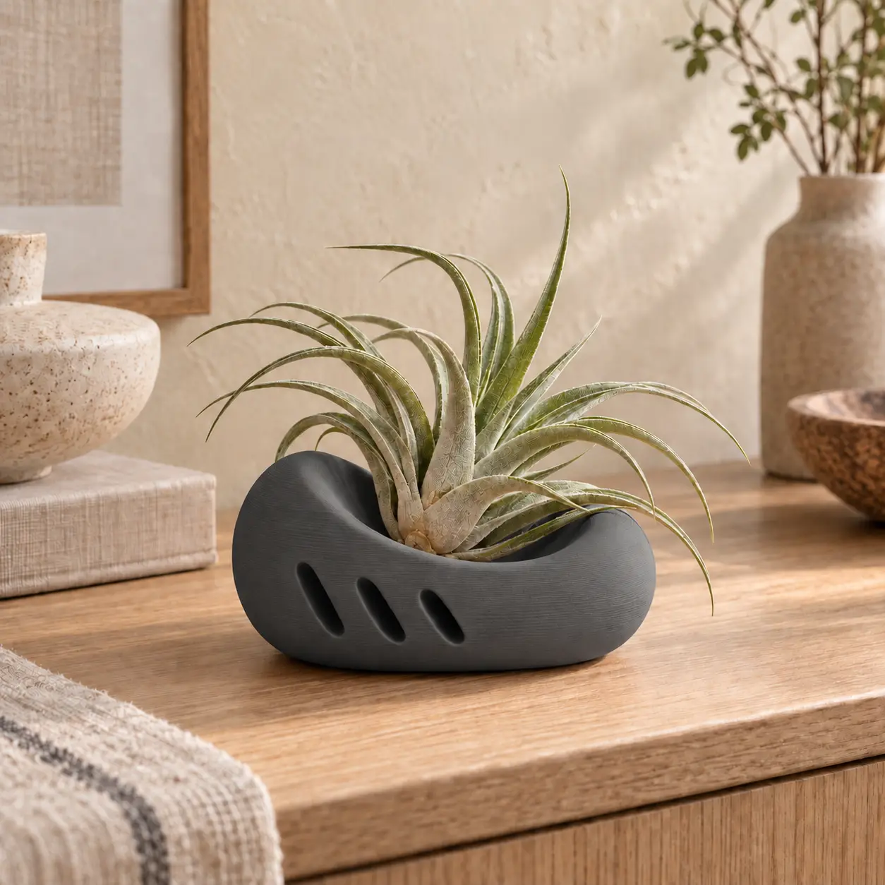 Pebble Cradle Air Plant Holder — modelo 3D