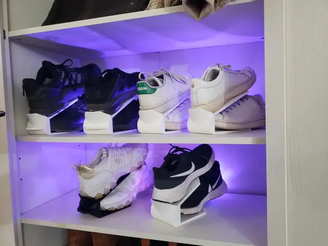 Shoe Organizer With Pull Tab. — modelo 3D