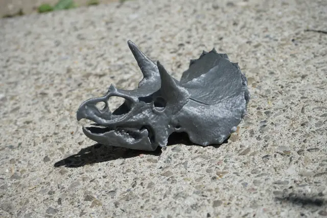 Triceratops Skull — modelo 3D