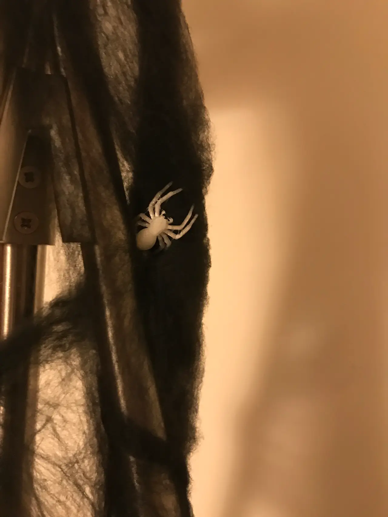 Black House Spider For Halloween — modelo 3D