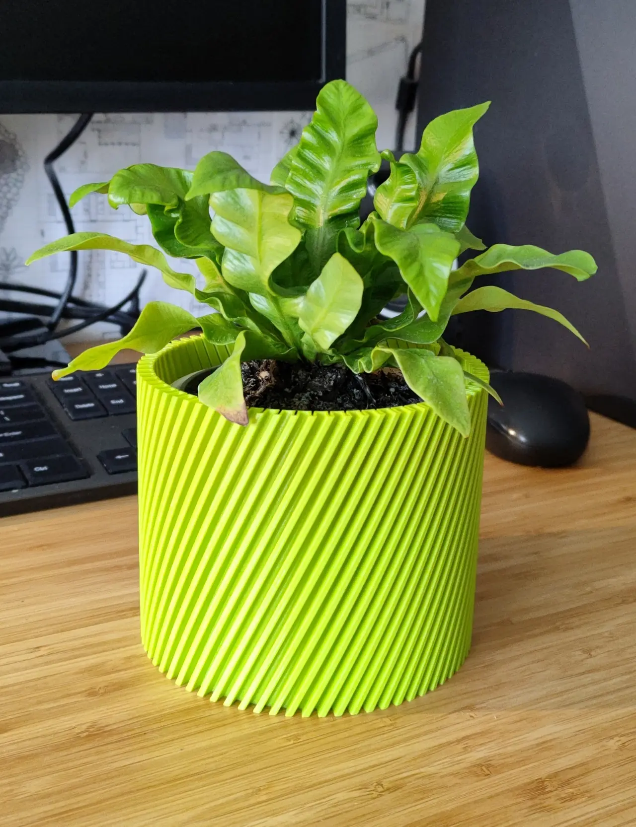 Spiral flower pot/planter - vase mode — modelo 3D