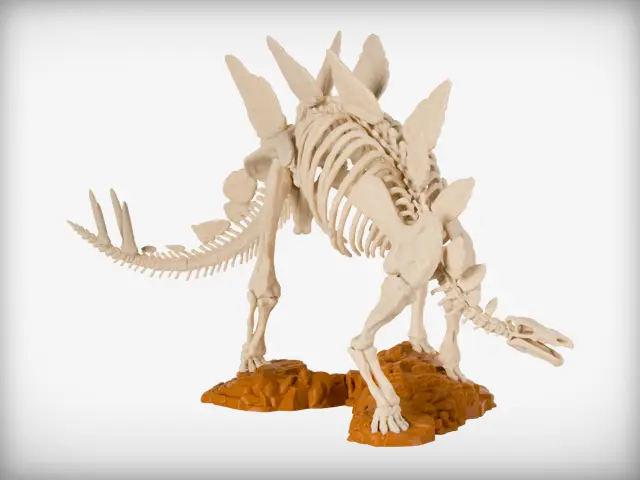 Stegosaurus Skeleton — modelo 3D