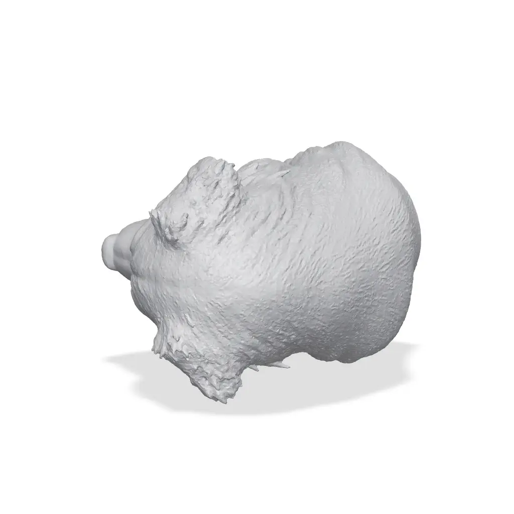 Australian Shepherd Bust 3D Print STL — modelo 3D