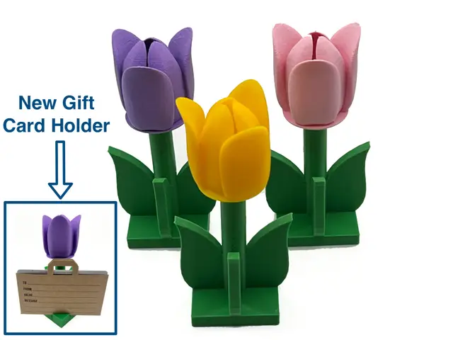 Tulip Flower on Stem with Leaves Decoration (optional gift card holder) — modelo 3D