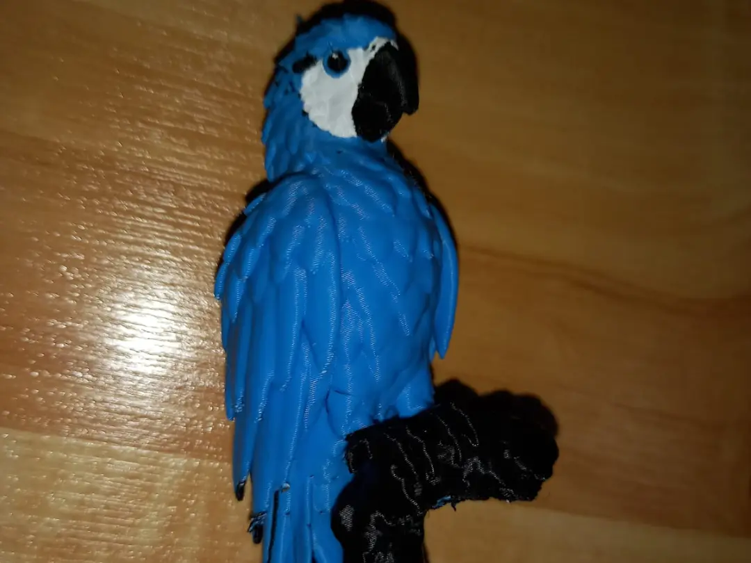 Blauara — modelo 3D