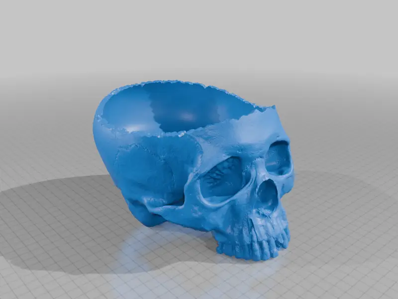 Skull Bowl widened — modelo 3D