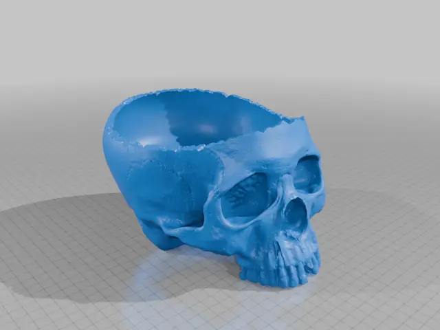 Skull Bowl widened — modelo 3D