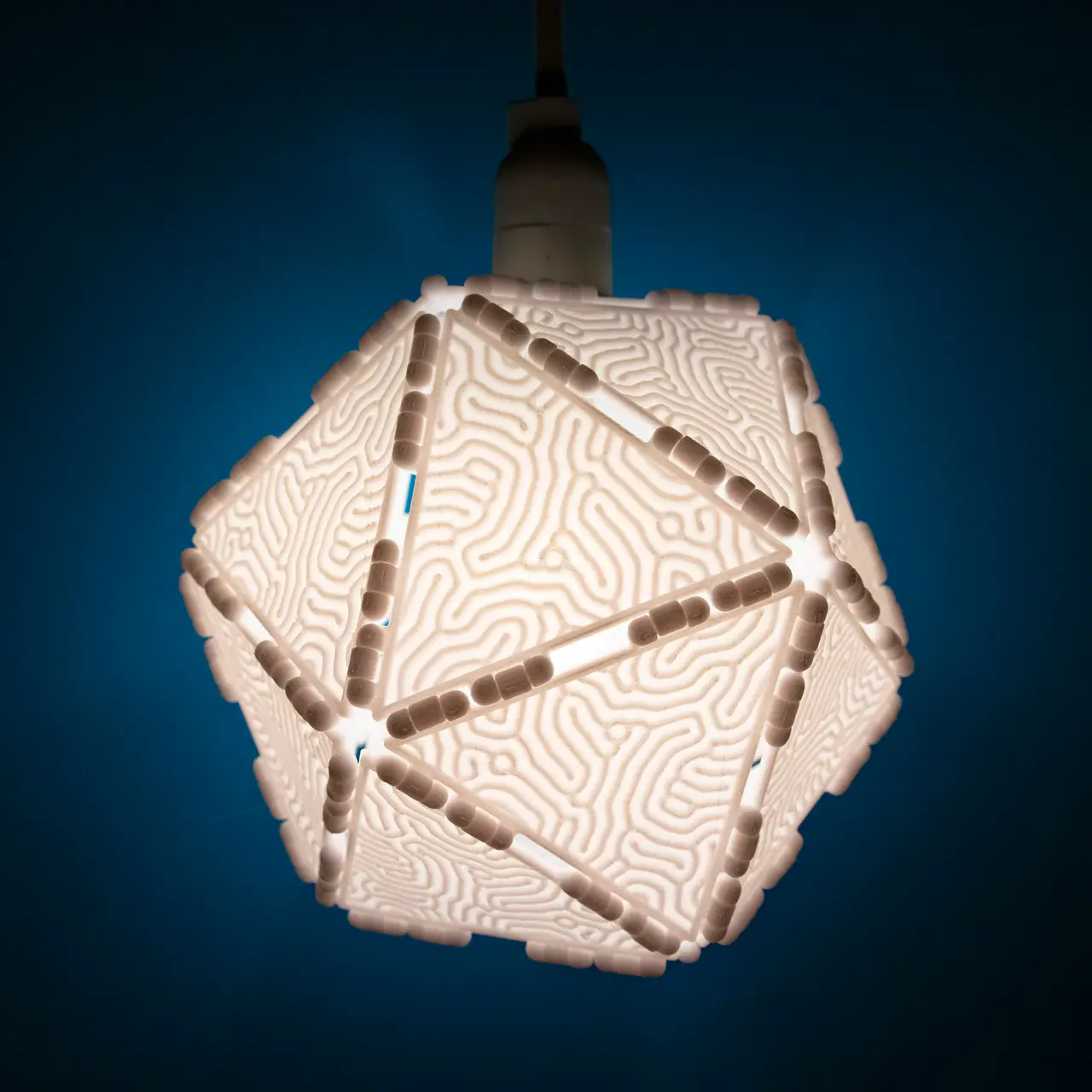 Polypanels // Coral Lithophane (Reaction Diffusion Luminaire) — modelo 3D