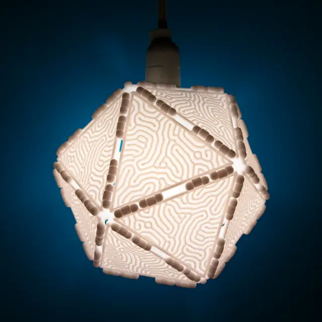 Polypanels // Coral Lithophane (Reaction Diffusion Luminaire) — modelo 3D