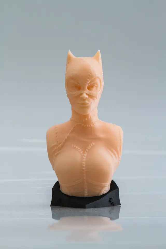 Catwoman bust — modelo 3D