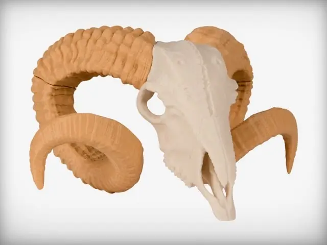 Ram Skull — modelo 3D