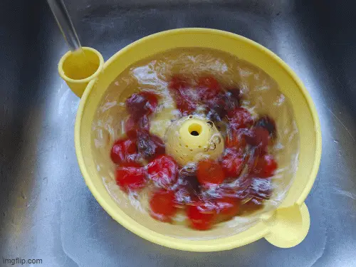 HydroSpinner Family Size Water Powered Fruit/Berry Washer — modelo 3D