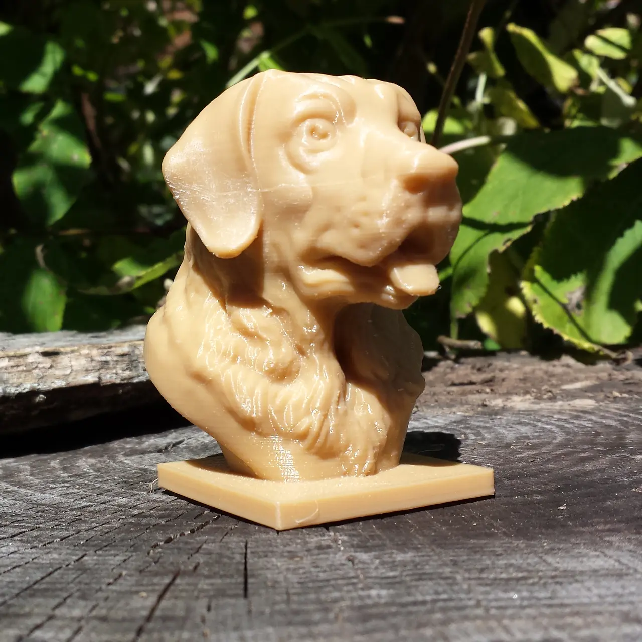 Labrador Bust — modelo 3D
