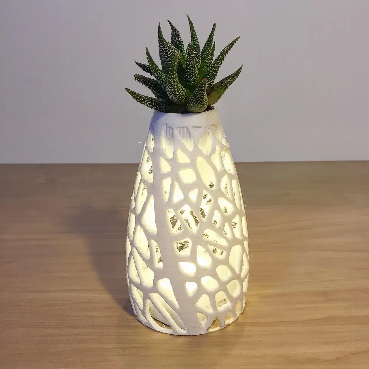Cellular Planter / Lamp — modelo 3D