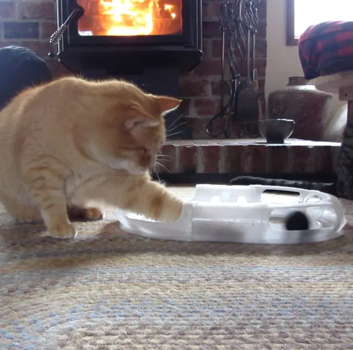 Cat Toy Race Track — modelo 3D