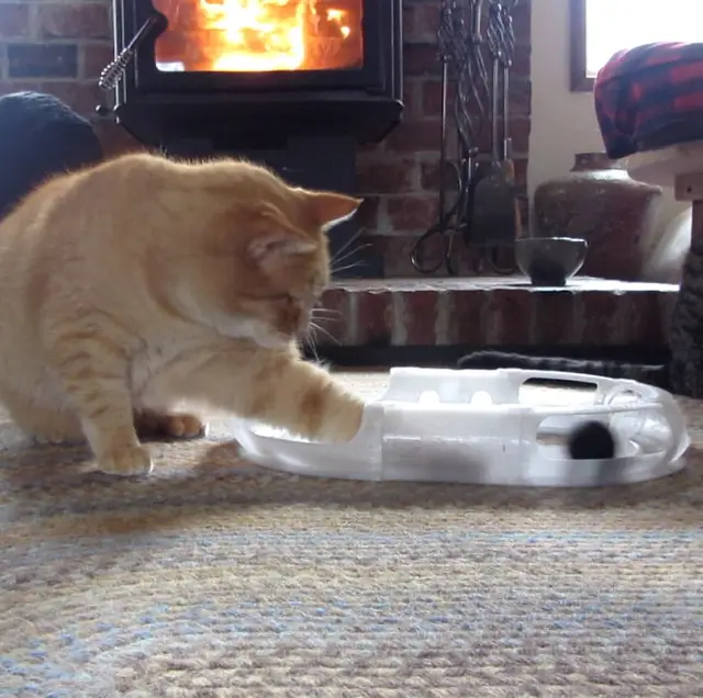 Cat Toy Race Track — modelo 3D