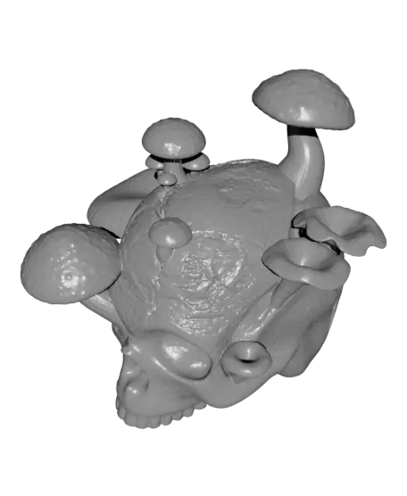 The Reclaimed Skull — modelo 3D