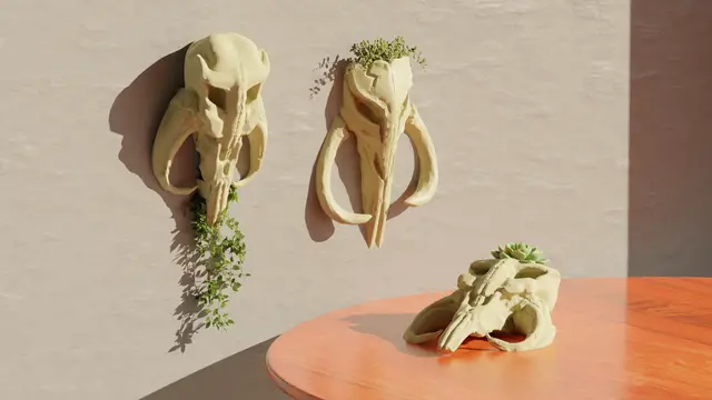 Mythosaur Skull (The Mandalorian) - Star Wars Pot Plant Set — modelo 3D
