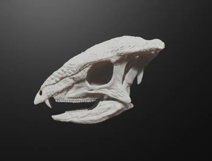 Goyocephale Skull — modelo 3D