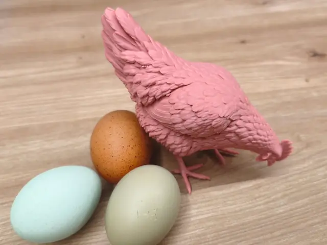Huhn — modelo 3D