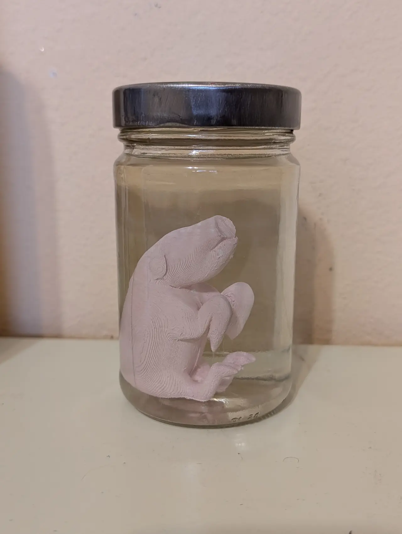 Pig fetus lab sample — modelo 3D