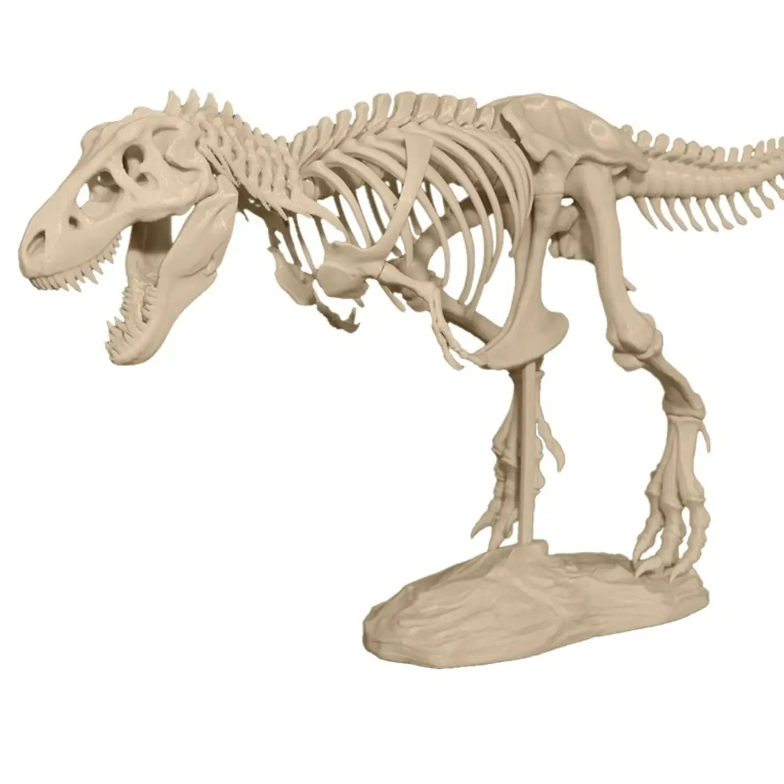 T-Rex Skeleton — modelo 3D