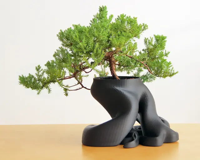 gCreate Bonsai Root Planter — modelo 3D