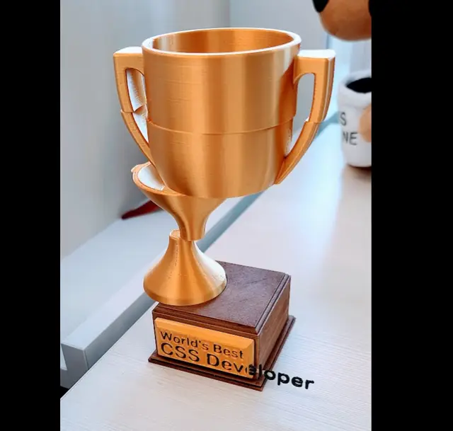 "World's Best CSS Developer" Trophy — modelo 3D