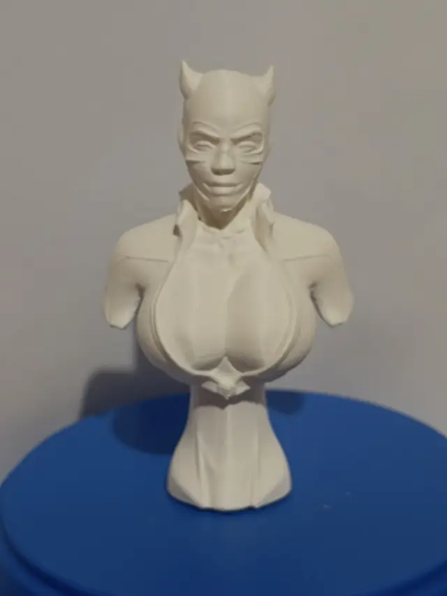 busto catwoman sexy.stl — modelo 3D