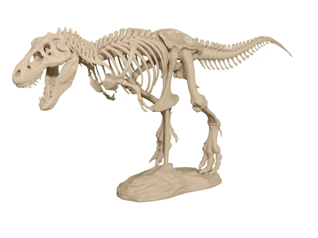 T-Rex Skeleton — modelo 3D