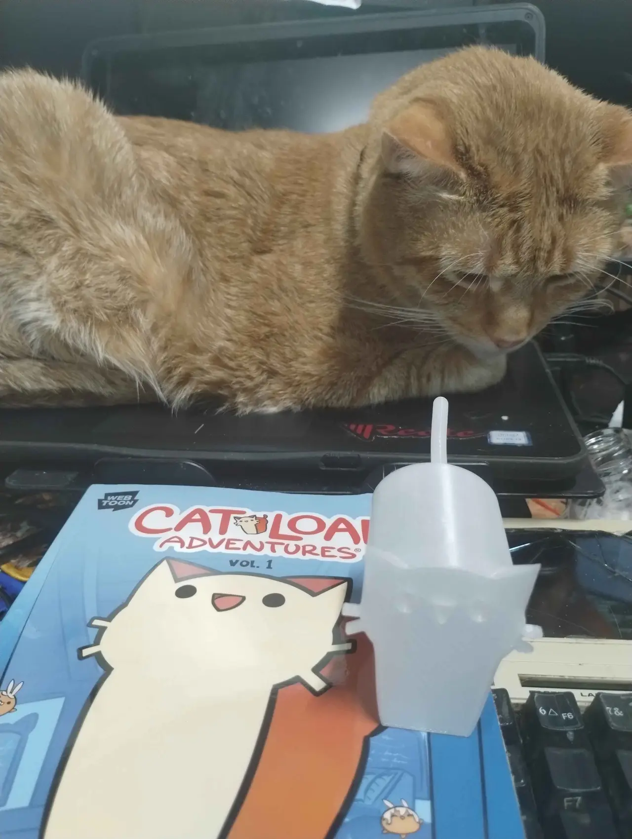 Cat Loaf — modelo 3D