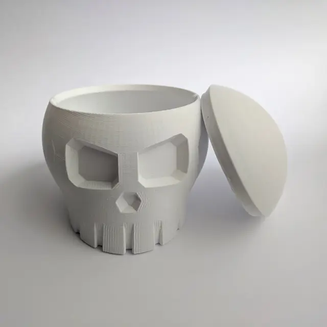 Skull Box with Cranial Lid — modelo 3D