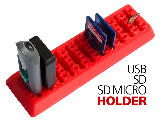 USB SD SD Mirco Holder Combined — modelo 3D